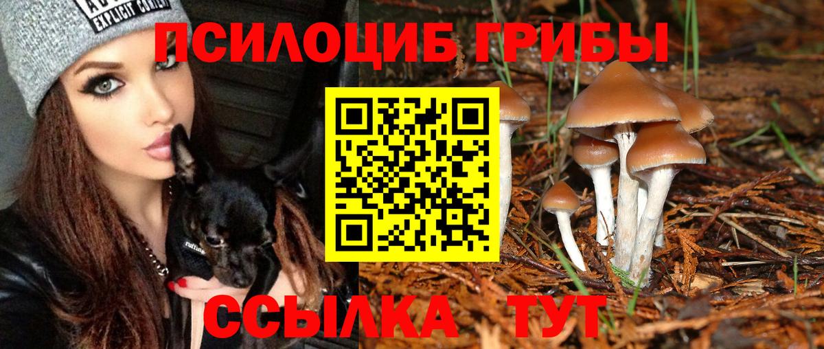Псилоцибиновые грибы мухоморы  Галлюциногенные грибы MAGIC MUSHROOMS  Вход с VPN  Саров 